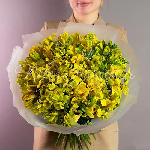 Цветы Букет Золотая лихорадка