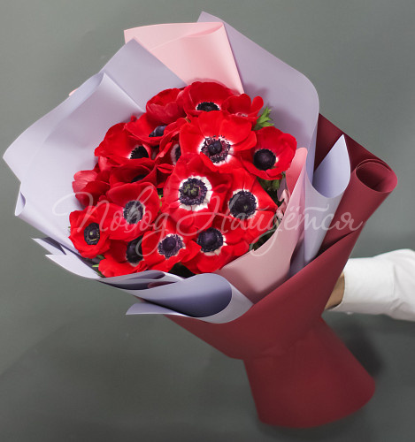 АНЕМОНЫ Букет Никки