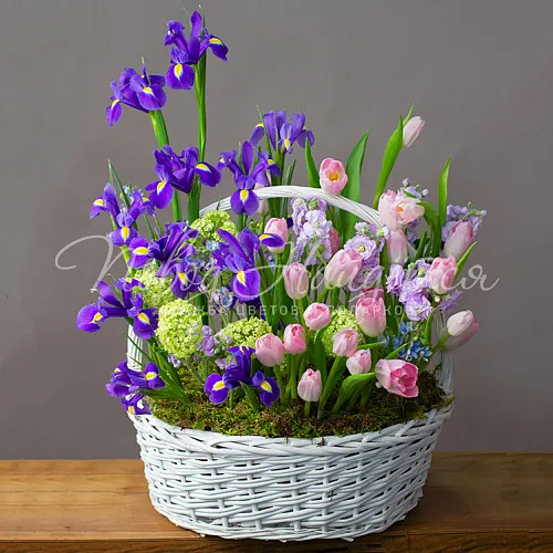 ТЮЛЬПАНЫ Букет Романтичная натура