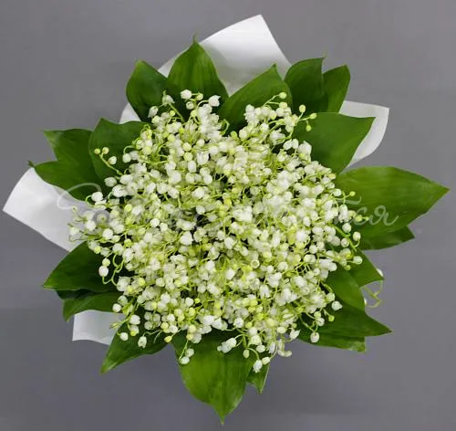 Цветы Букет Сказки леса