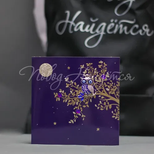 Открытки Открытка (сова)