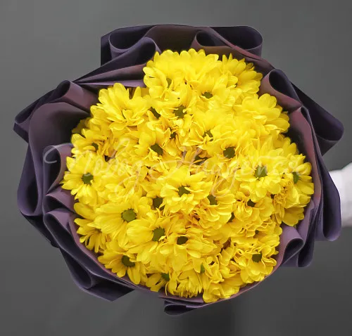 ХРИЗАНТЕМЫ Букет Летнее солнце