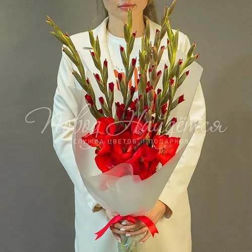 ГЛАДИОЛУСЫ Букет Пламя