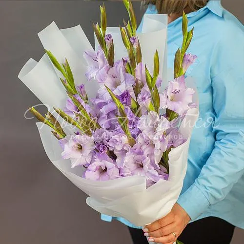 ГЛАДИОЛУСЫ Букет Ласковые намеки