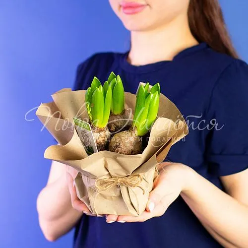 Зеленое Мартовская капель