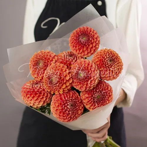 ГЕОРГИНЫ Букет Стихия огня