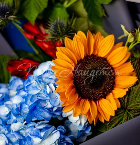 ПОДСОЛНУХИ Букет Верю в чудо!