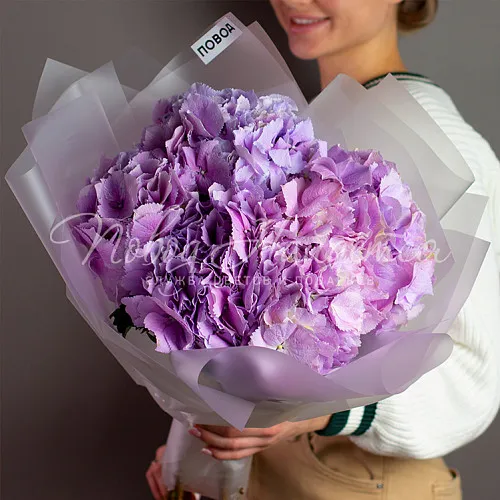 ГОРТЕНЗИИ Букет Мегаполис