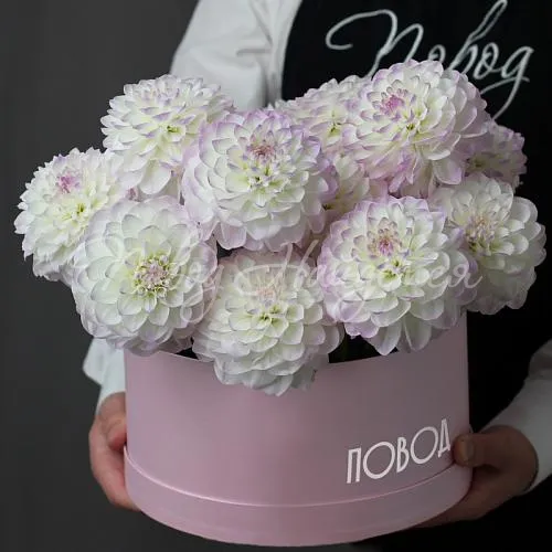 ГЕОРГИНЫ Букет Счастливый миг