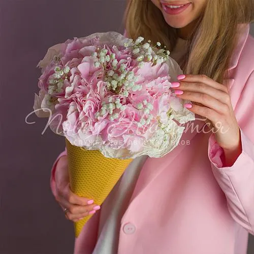 ГОРТЕНЗИИ Букет Вишневое мороженое