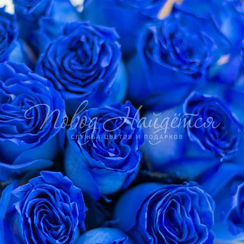 Синие розы Букет Эвелин