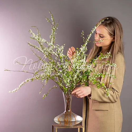 ПАСХА Цветущая аллея