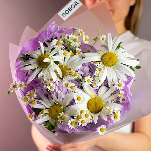 РОМАШКИ Букет Прелесть полей