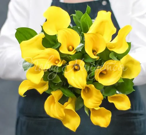 КАЛЛЫ Букет Пальме-де-Майорка