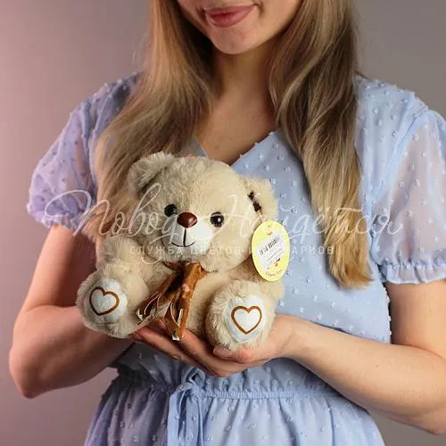 Подарки Мишка Тедди, 20 см