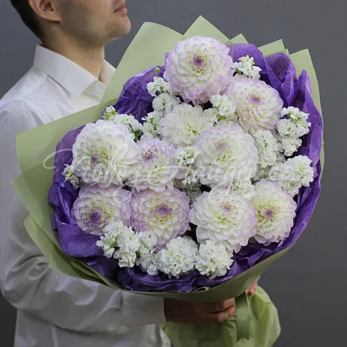 ГЕОРГИНЫ Букет Портофино