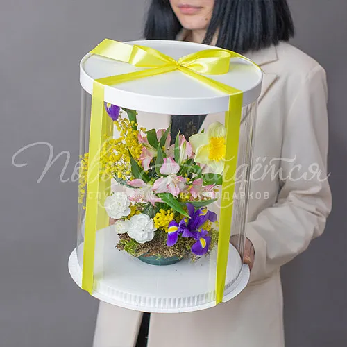 8.03 КОРП ВОХ 7