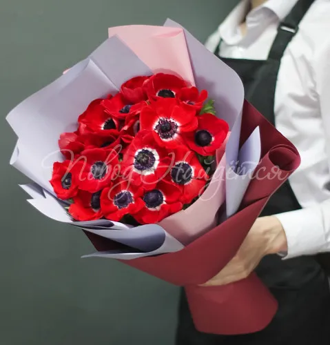 АНЕМОНЫ Букет Никки