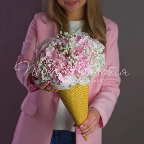 ГОРТЕНЗИИ Букет Вишневое мороженое