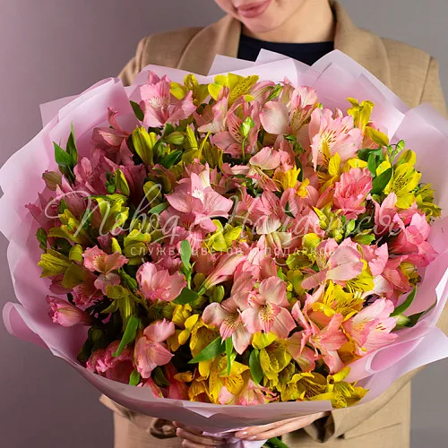 Монобукеты из альстромерии Букет Амазонка