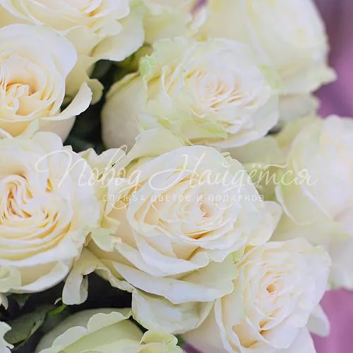 25 роз Букет 25 роз Mondial