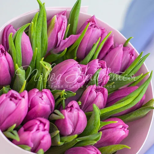 8.03 КОРП Букет Корпоративный 37