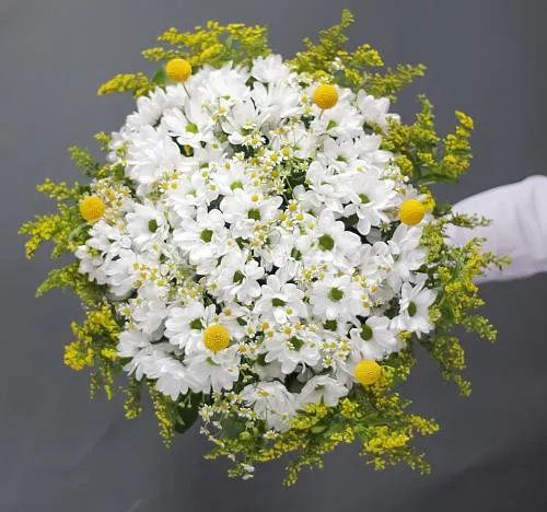 РОМАШКИ Букет Парад планет