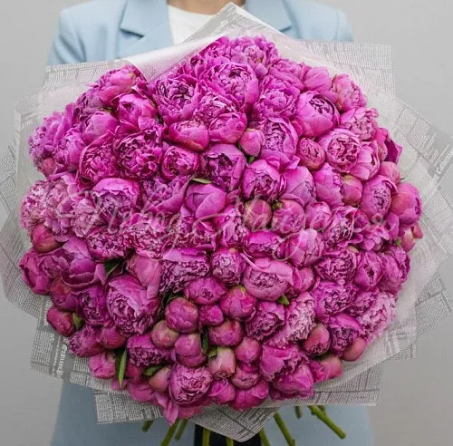 ПИОНЫ Букет Сумасшедший взгляд