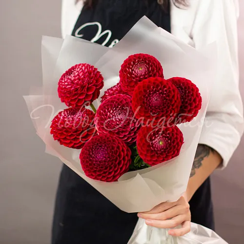 ГЕОРГИНЫ Букет Пряная вишня