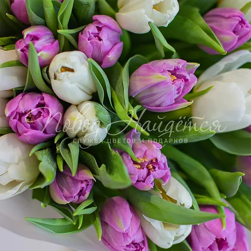 ТЮЛЬПАНЫ Букет Весенняя капель