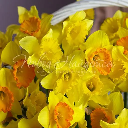 ПАСХА Долгожданная весна