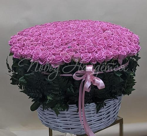 501 роза Букет Ханой