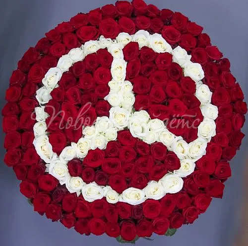 201 роза Букет Премиум класс