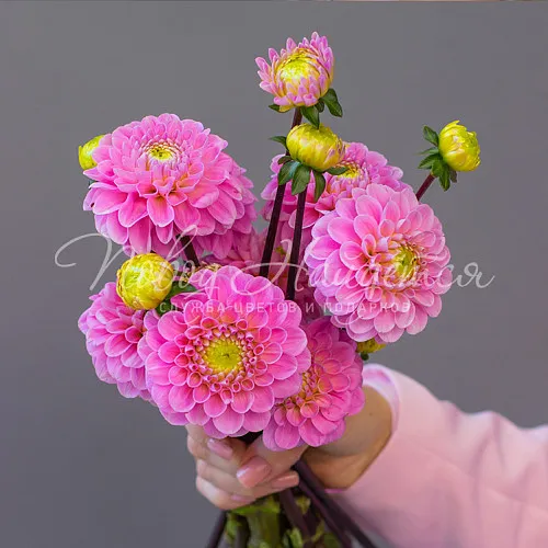 Букет невесты Букет Букет невесты №540