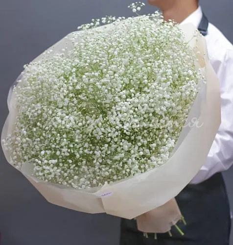 Цветы Букет Соло