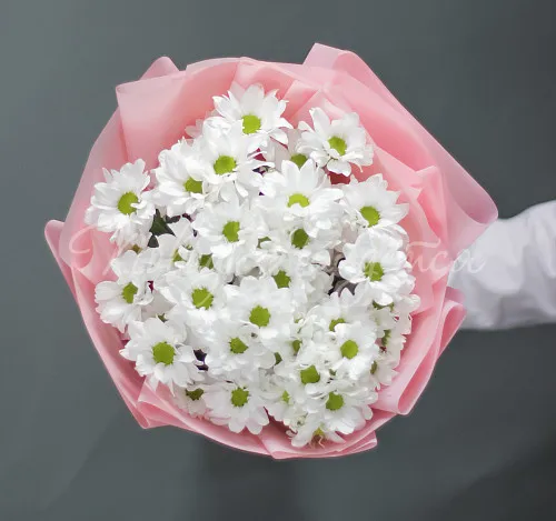 ХРИЗАНТЕМЫ Букет Небо