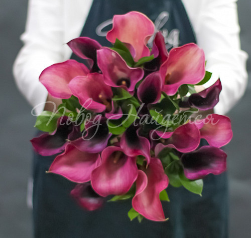 КАЛЛЫ Букет Вишневая легенда