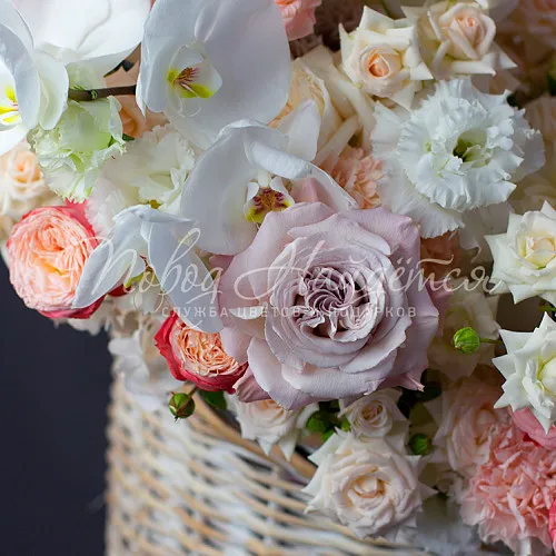 Корзины Корзина Мадлен