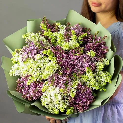 Цветы Букет Охапка сирени