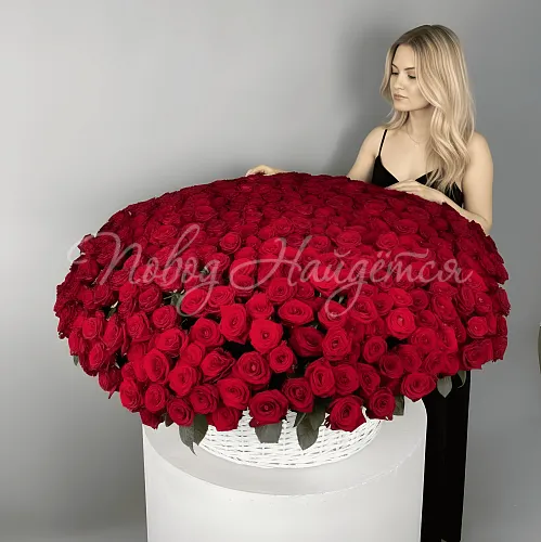 501 роза Букет Детройт