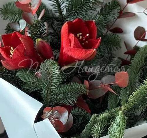 Цветы Букет В ожидании чуда