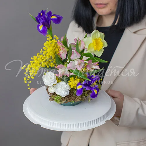 8.03 КОРП ВОХ 7