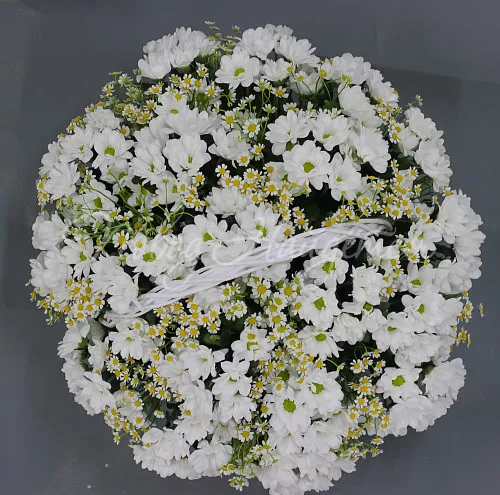 РОМАШКИ Букет Белая вьюга