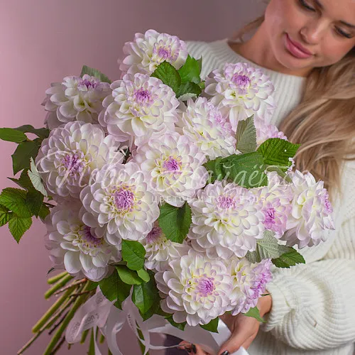 Монобукеты из георгинов Букет Расцвет нежности