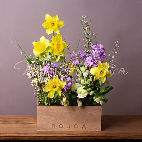 Букеты Букет Солнечный апрель