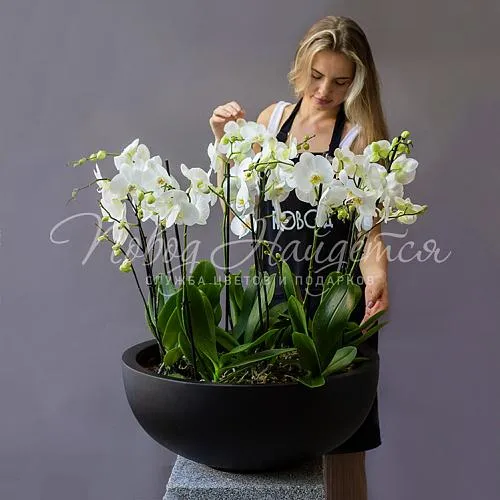 Настольные композиции Цветочная композиция Нирвана