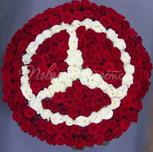 201 роза Букет Премиум класс