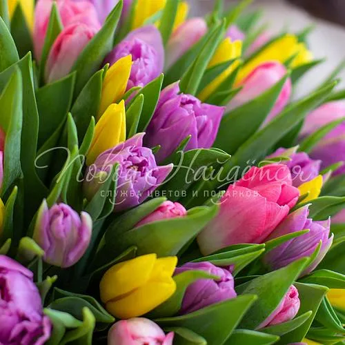 ТЮЛЬПАНЫ Букет Тюльпаномания