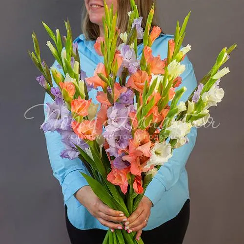 ГЛАДИОЛУСЫ Букет Девочки любят