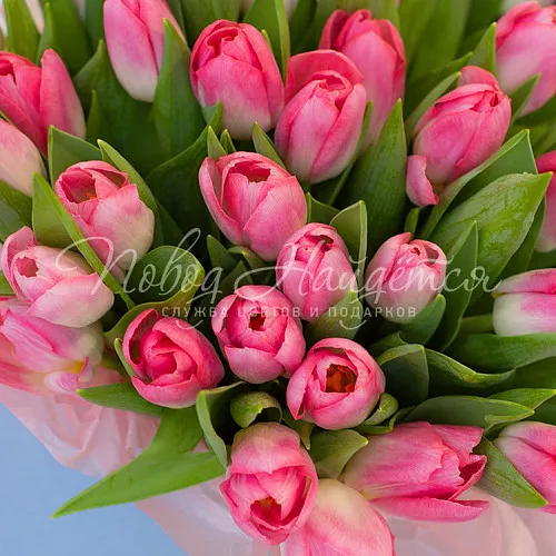 Моно Тюльпаны Букет Весенний Арбат